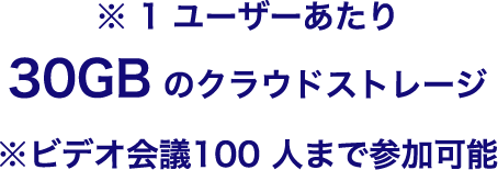 ビジネススタータープラン備考