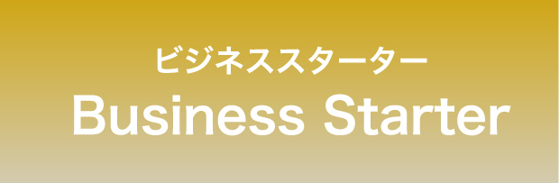 ビジネススタータープラン